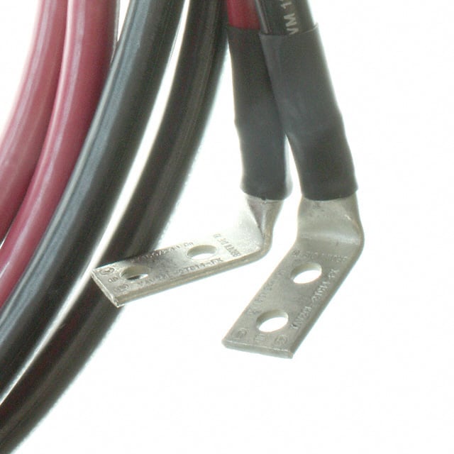 CABLE DC OUTPUT PAIR 10FT BLUNT 2AWG