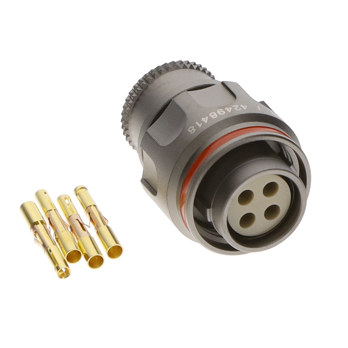 FGS.2M.304.XLMT