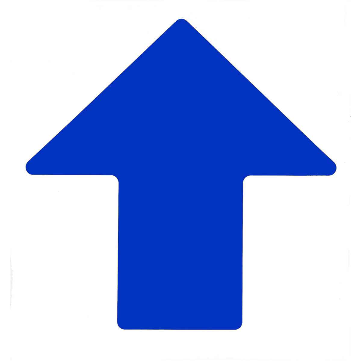 175656