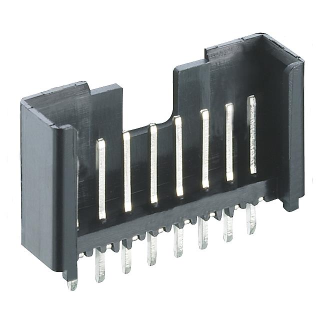 2,5 MSF/O 08