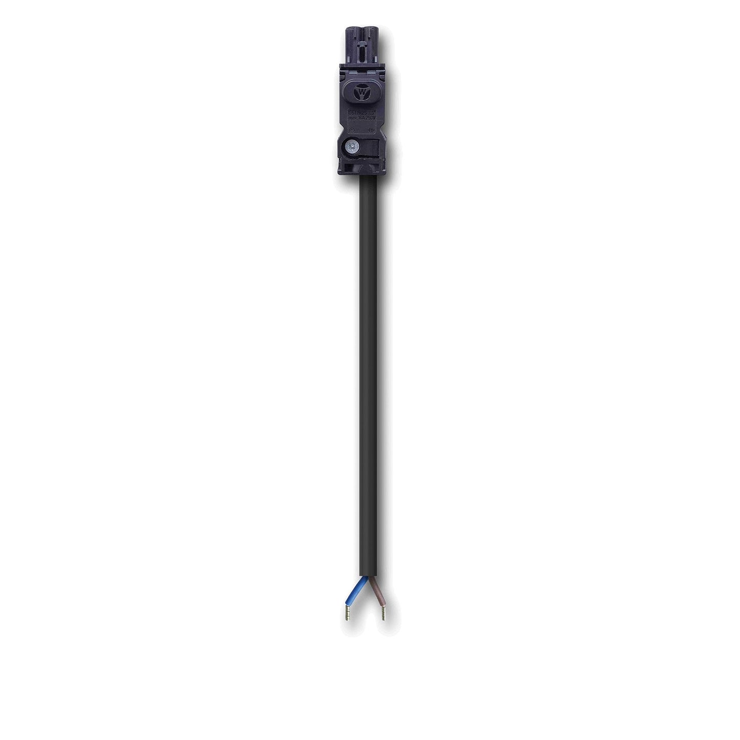 CELC3001PBUL