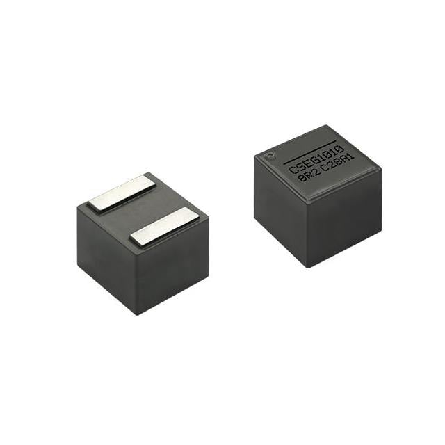 CSEG1010-5R6M
