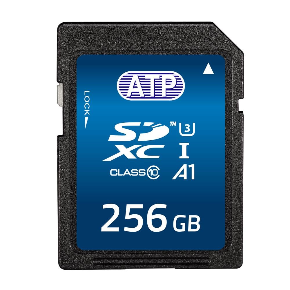 FT256GSD4APEBFI