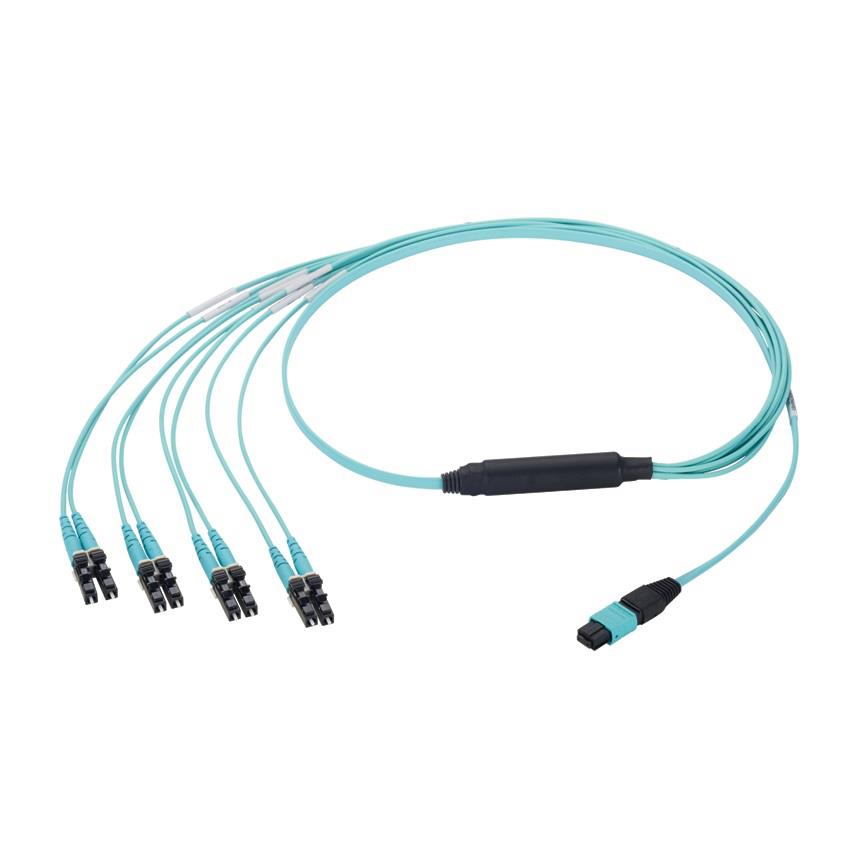 FZ8RP5NLSQNM002
