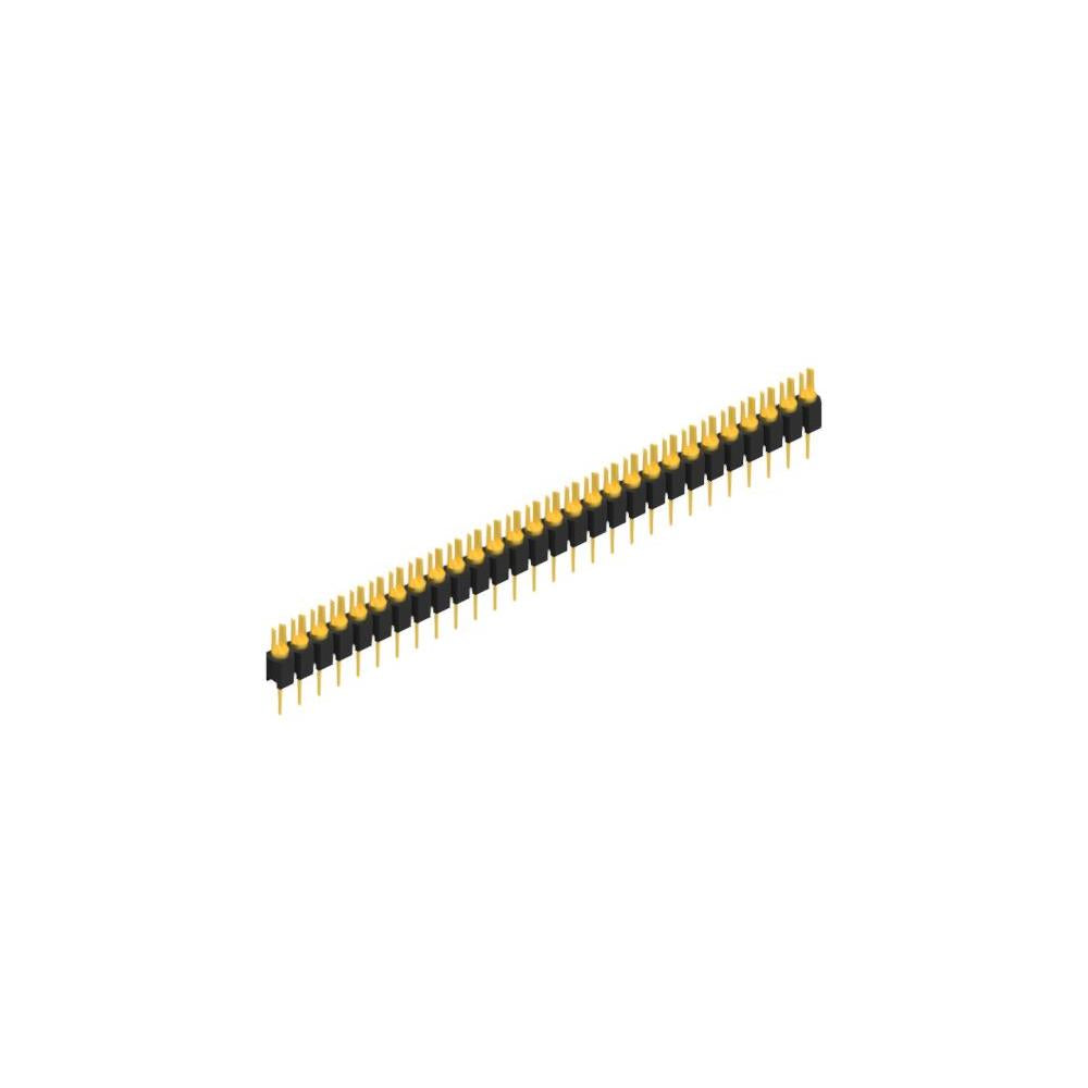 MK 02 28 G