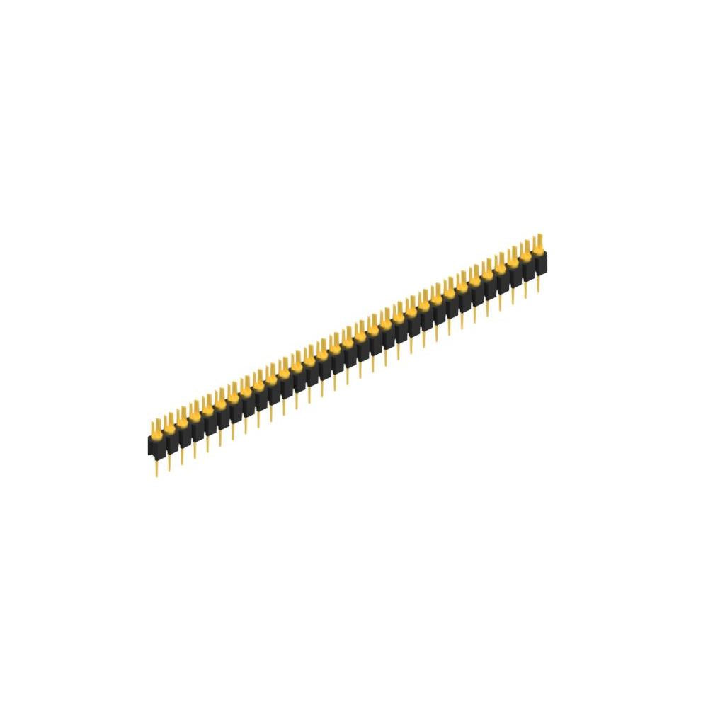 MK 02 31 G