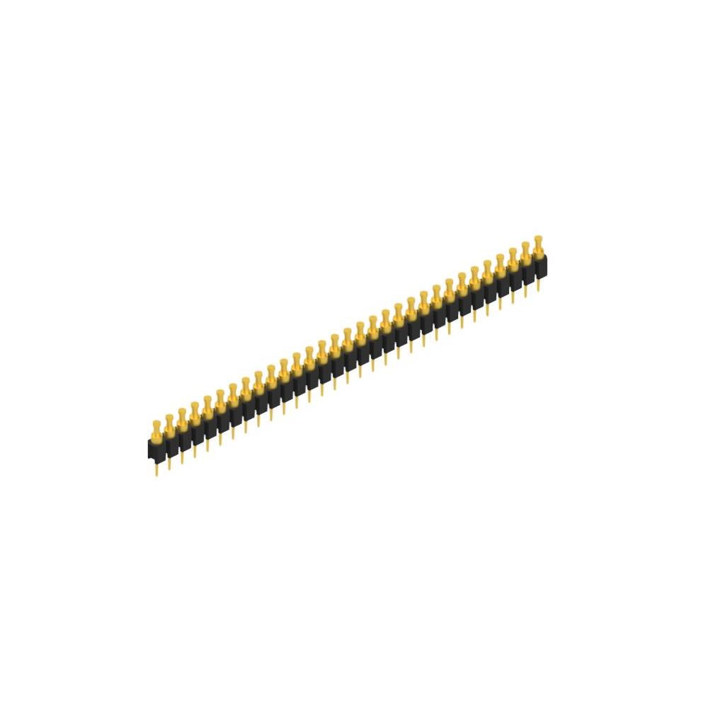 MK 03 31 G