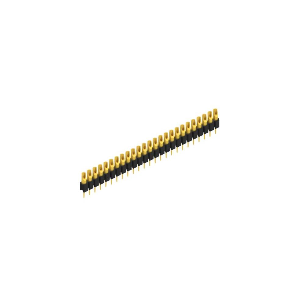MK 04 25 G