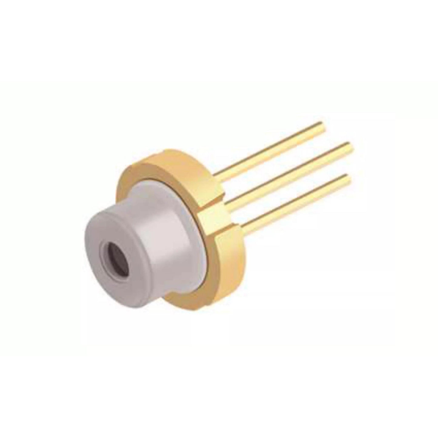 PLT5 488-C1C6