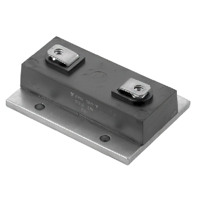 RPH100V10002FB