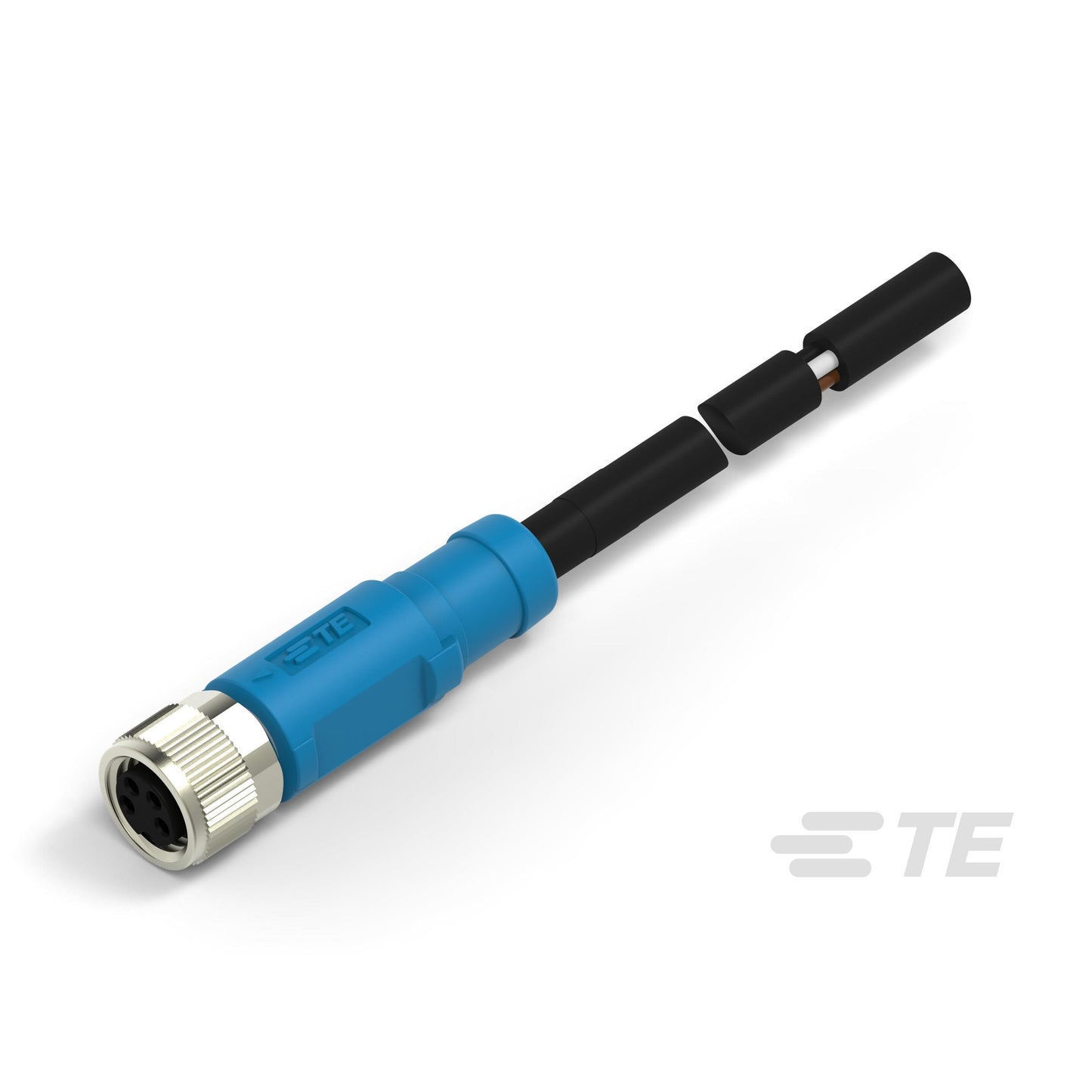 T4051310004-004