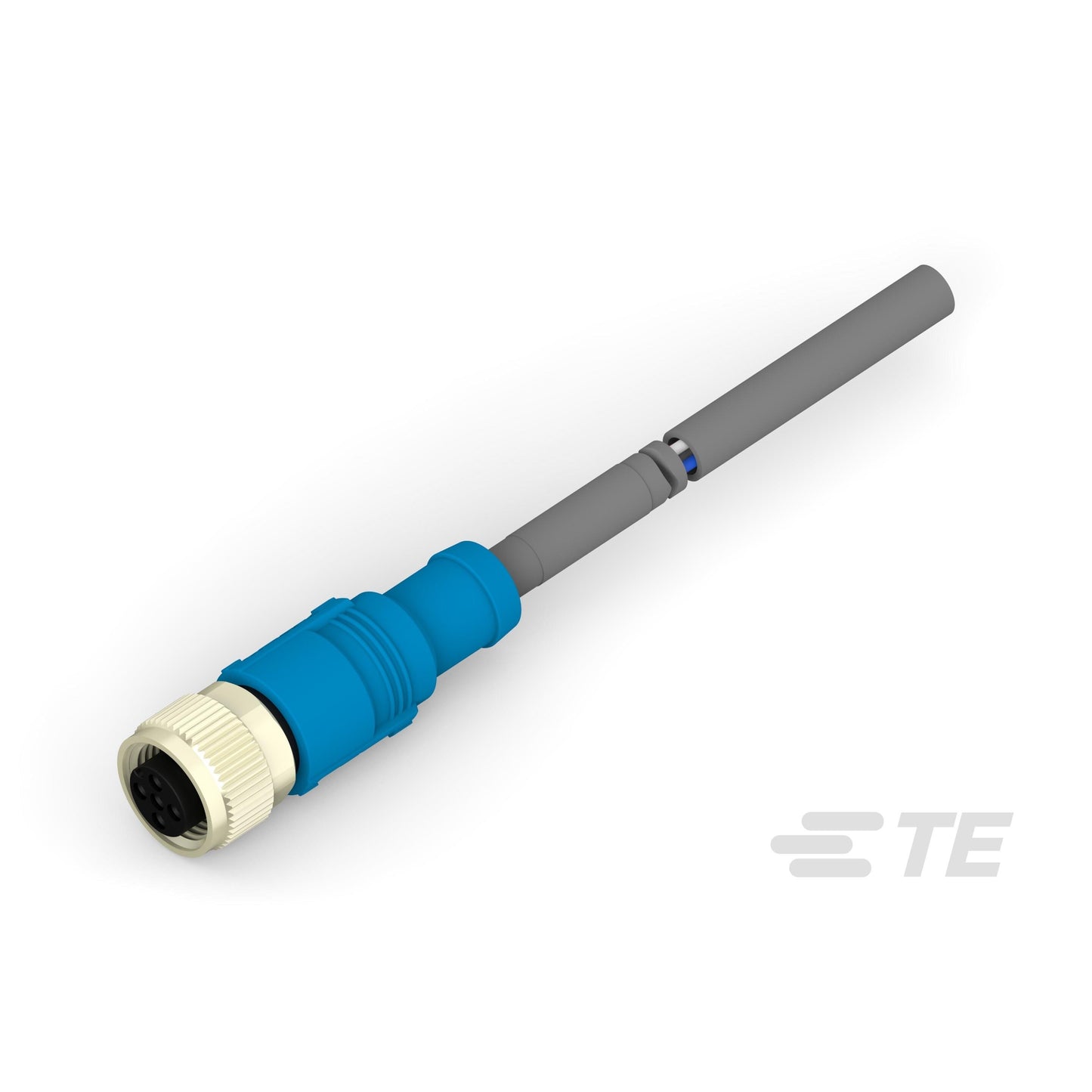 T4161320003-006