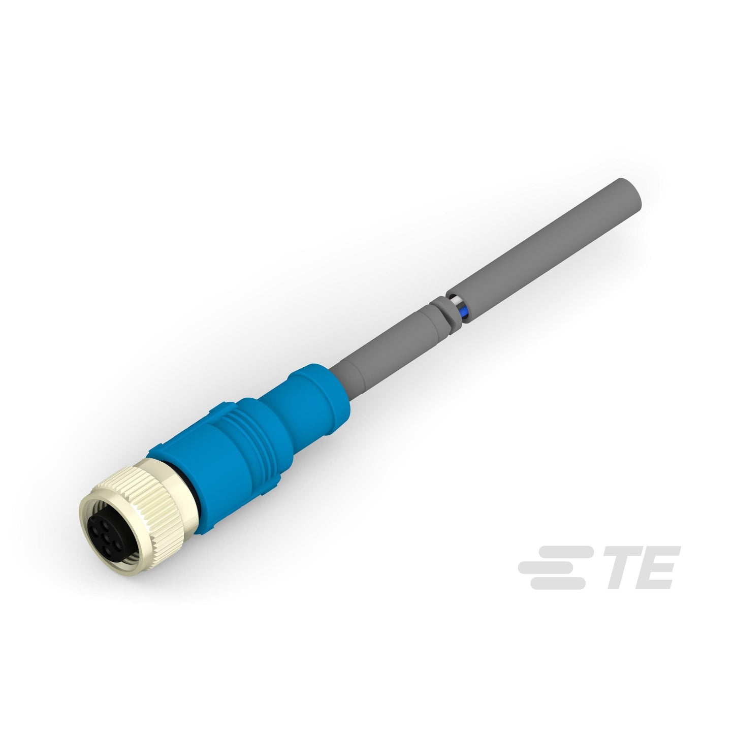 T4161320004-002