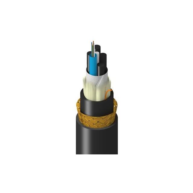 TM-1LF-006-HBAN