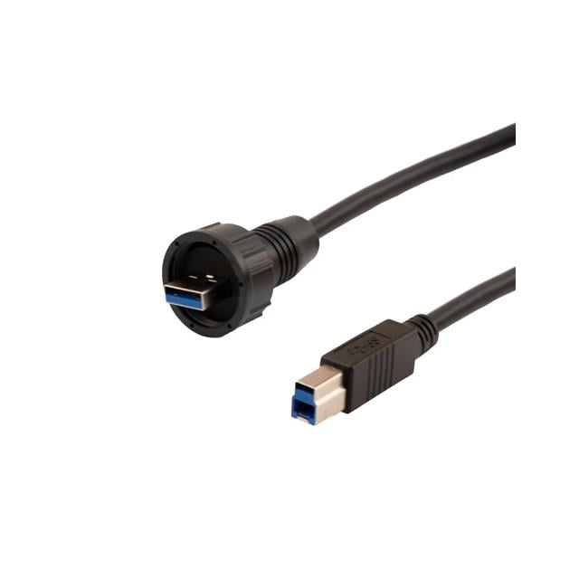 U3A00016-05M