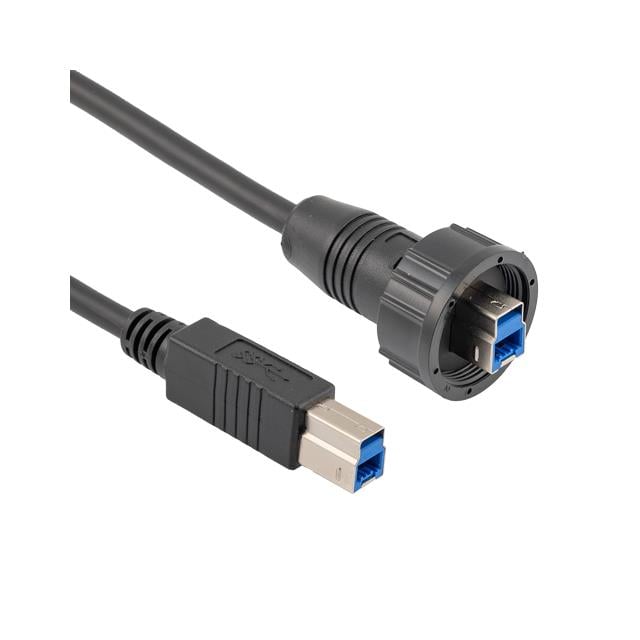 U3A00017-1M