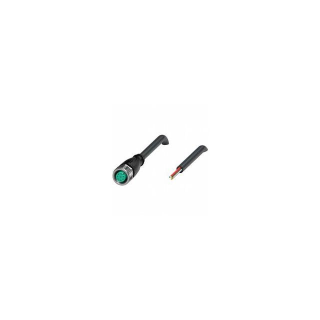 V19-G-BK30M-PUR-U
