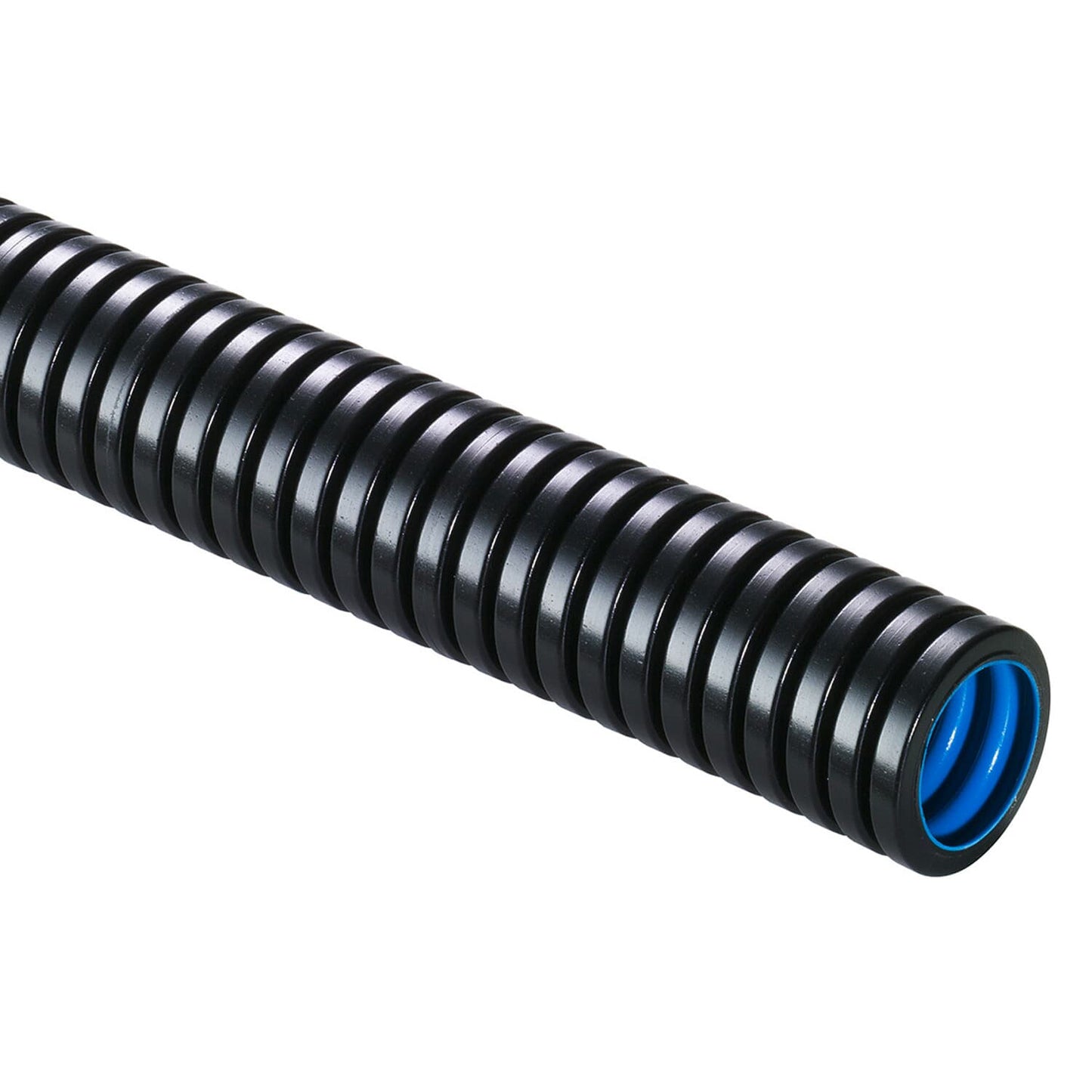 XPCLT-12BB.50