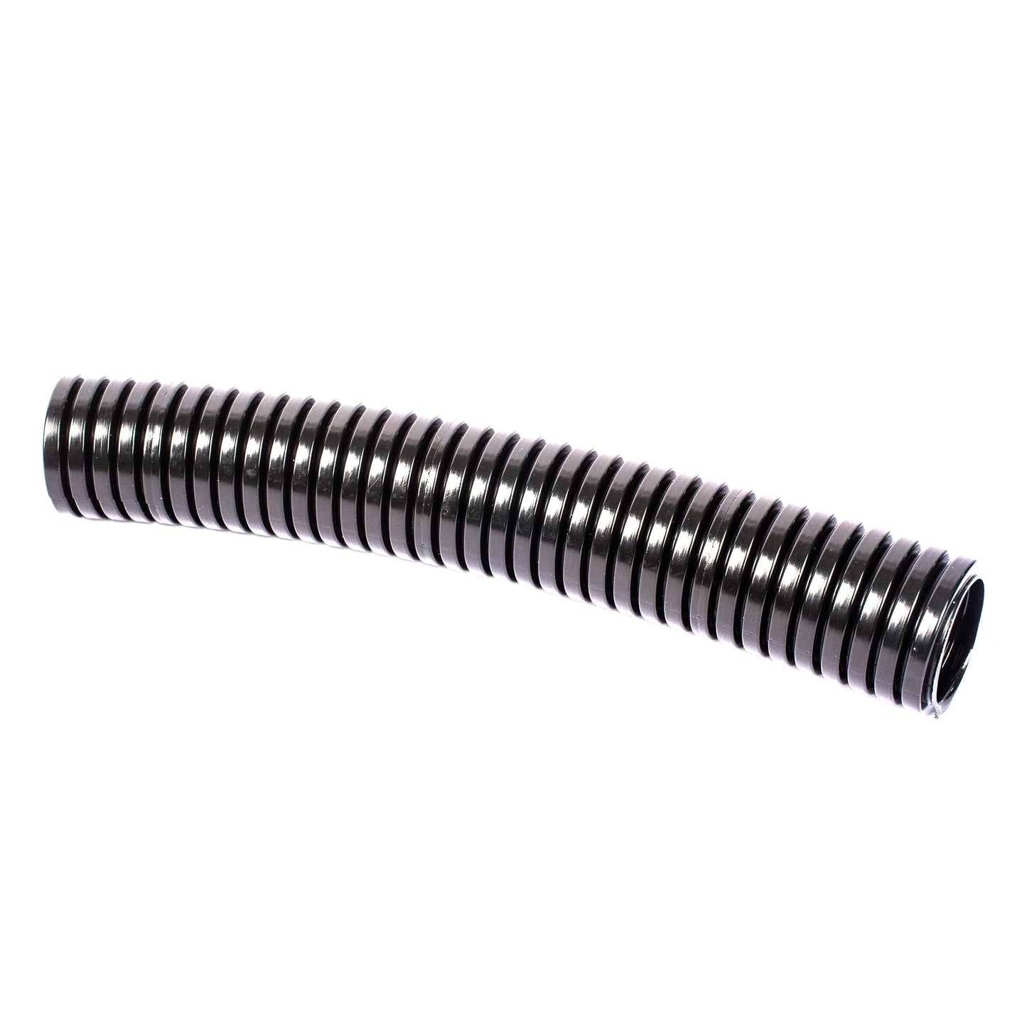 PACH54/GR/25M