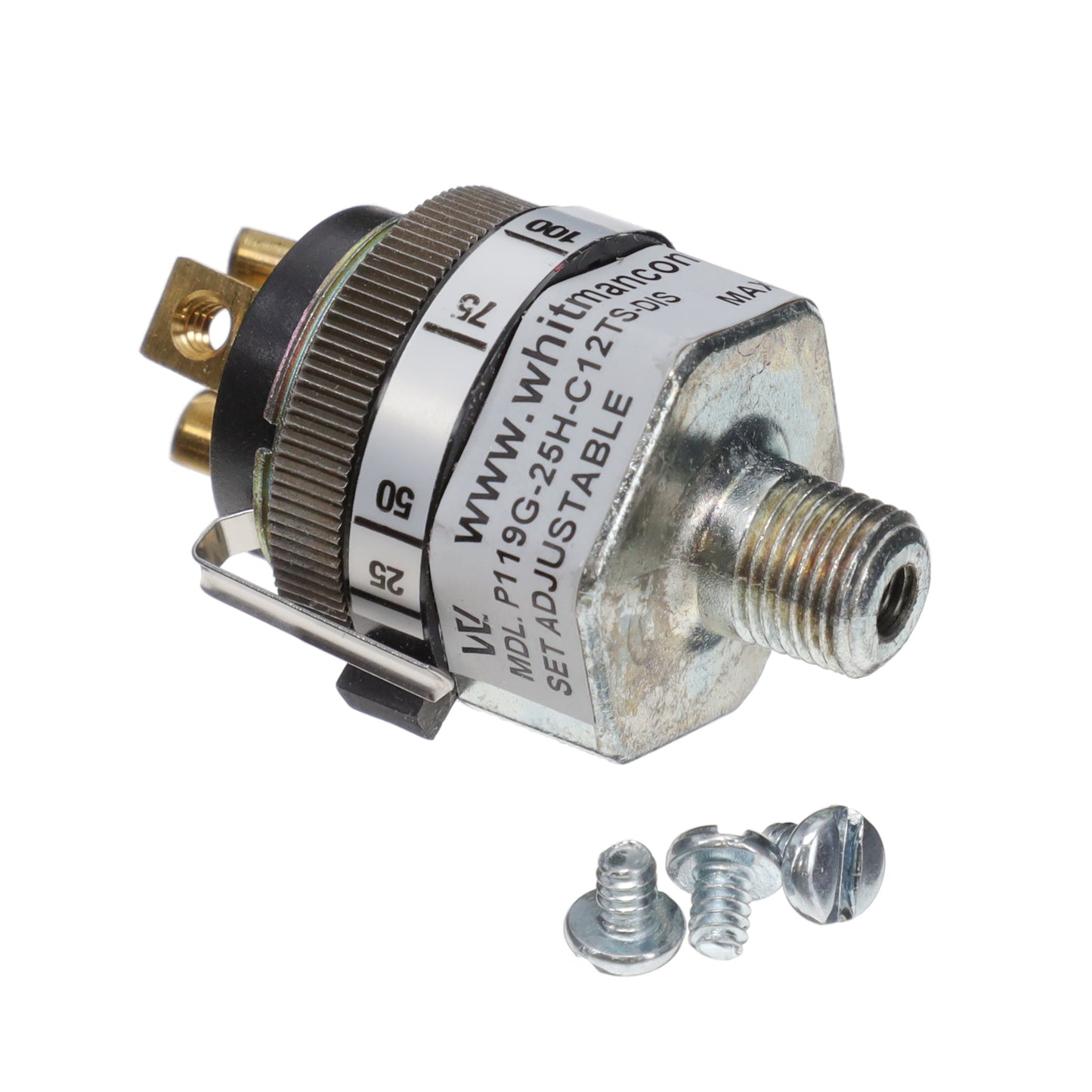 P119G-25H-C12TS-DIS