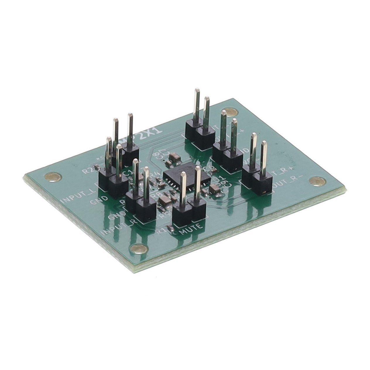 AMP2X1