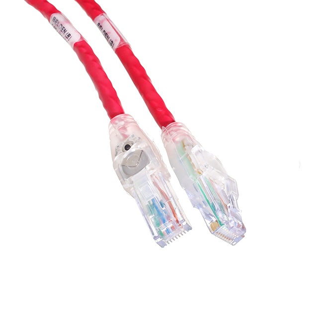 C6T1102006