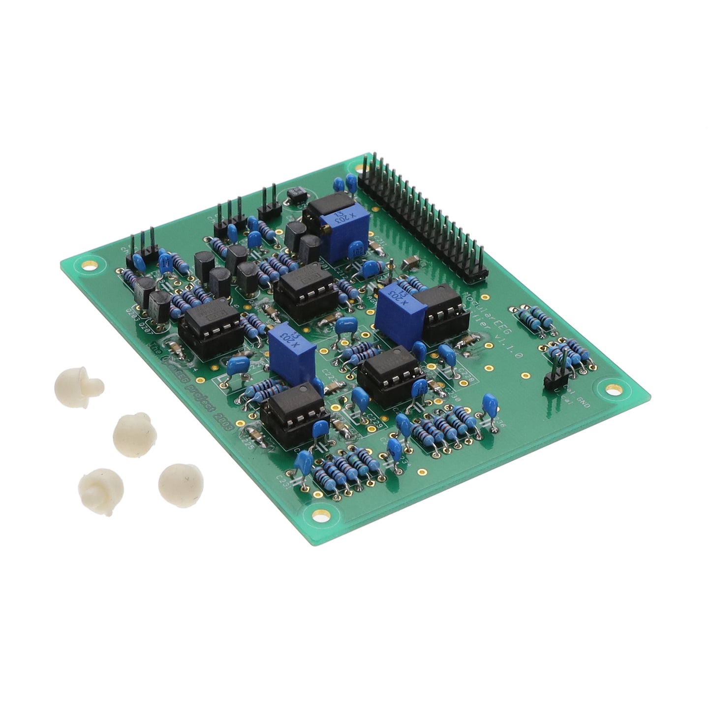 EEG-ANALOG (AR180903)