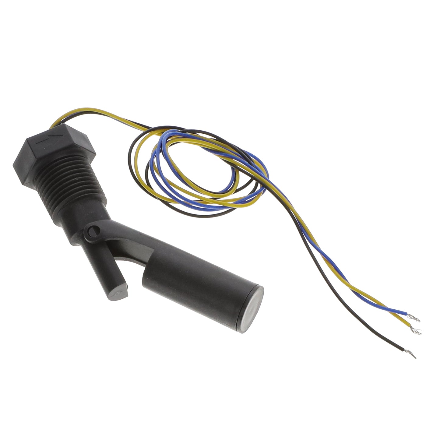 LS804-31