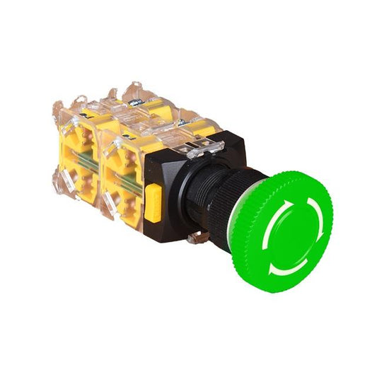 NF30-PERG22
