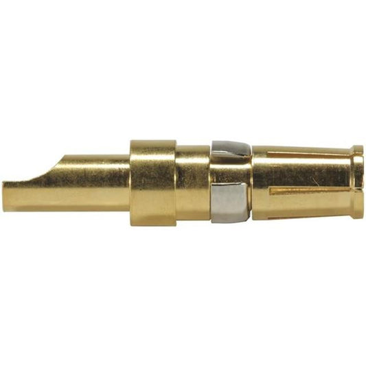 09691827821