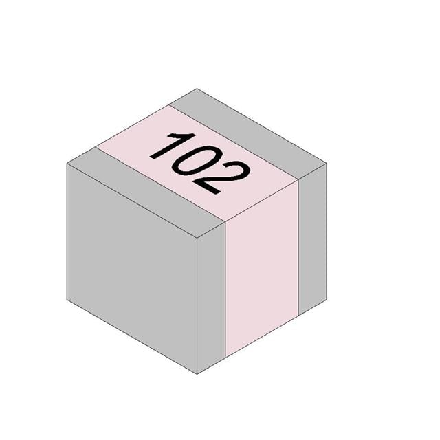 1111P102JP101X