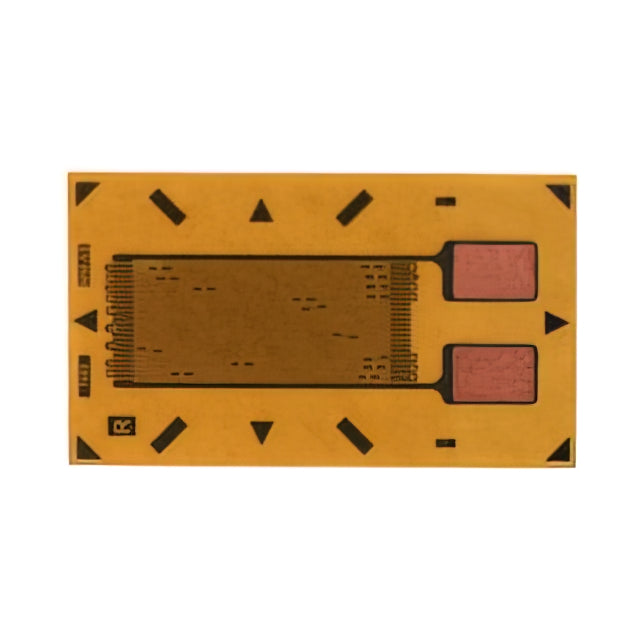MMF404966