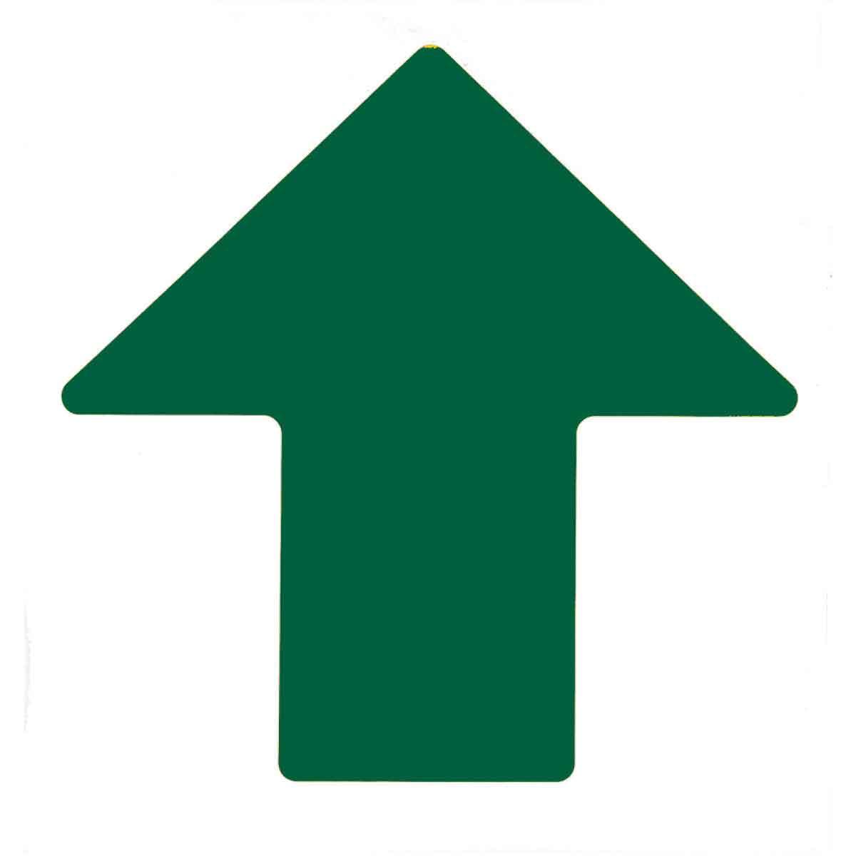 175655