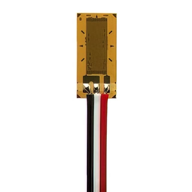 MMF405863