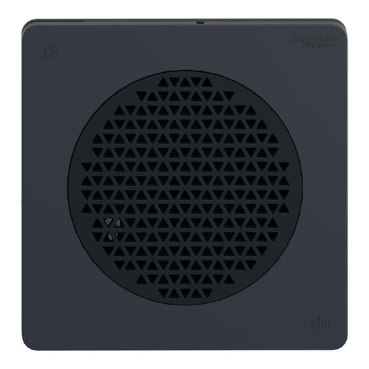 XVSV9MBN