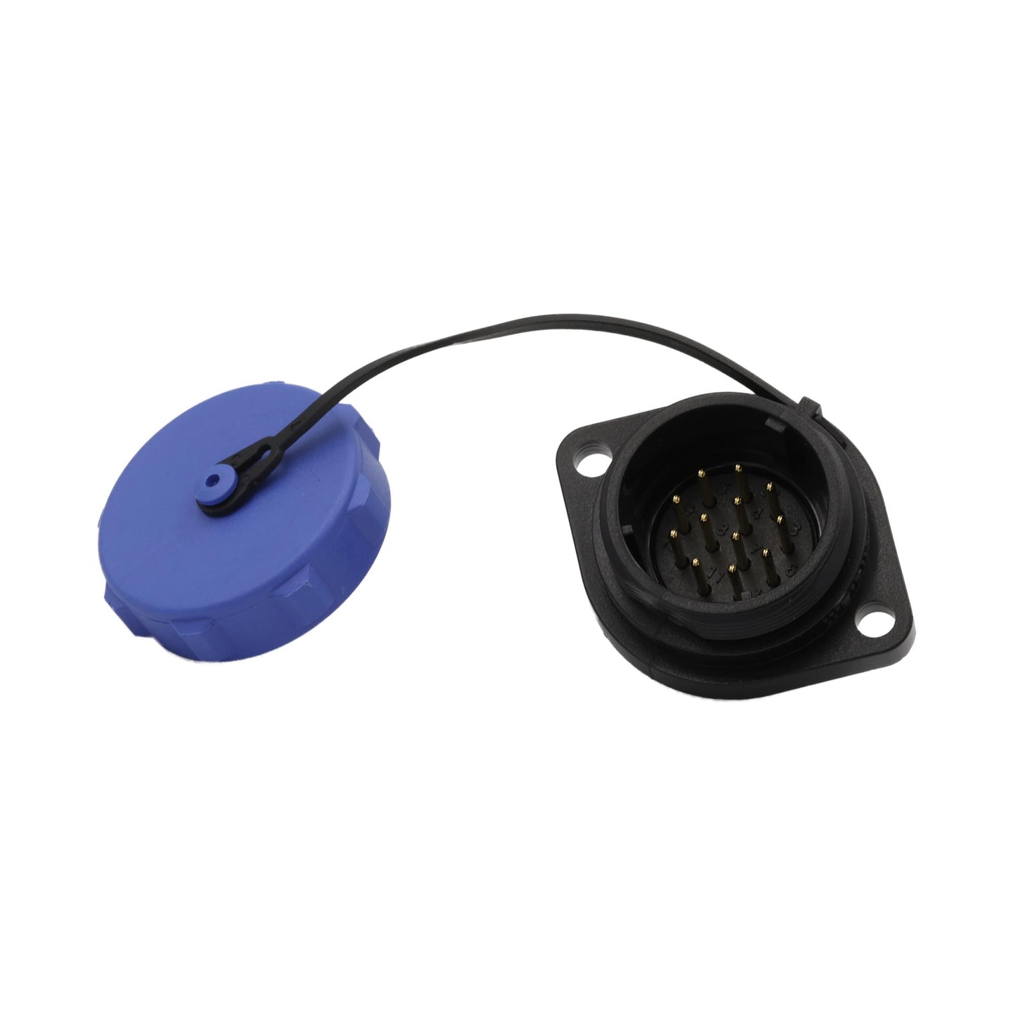 SP2113/P12-1C