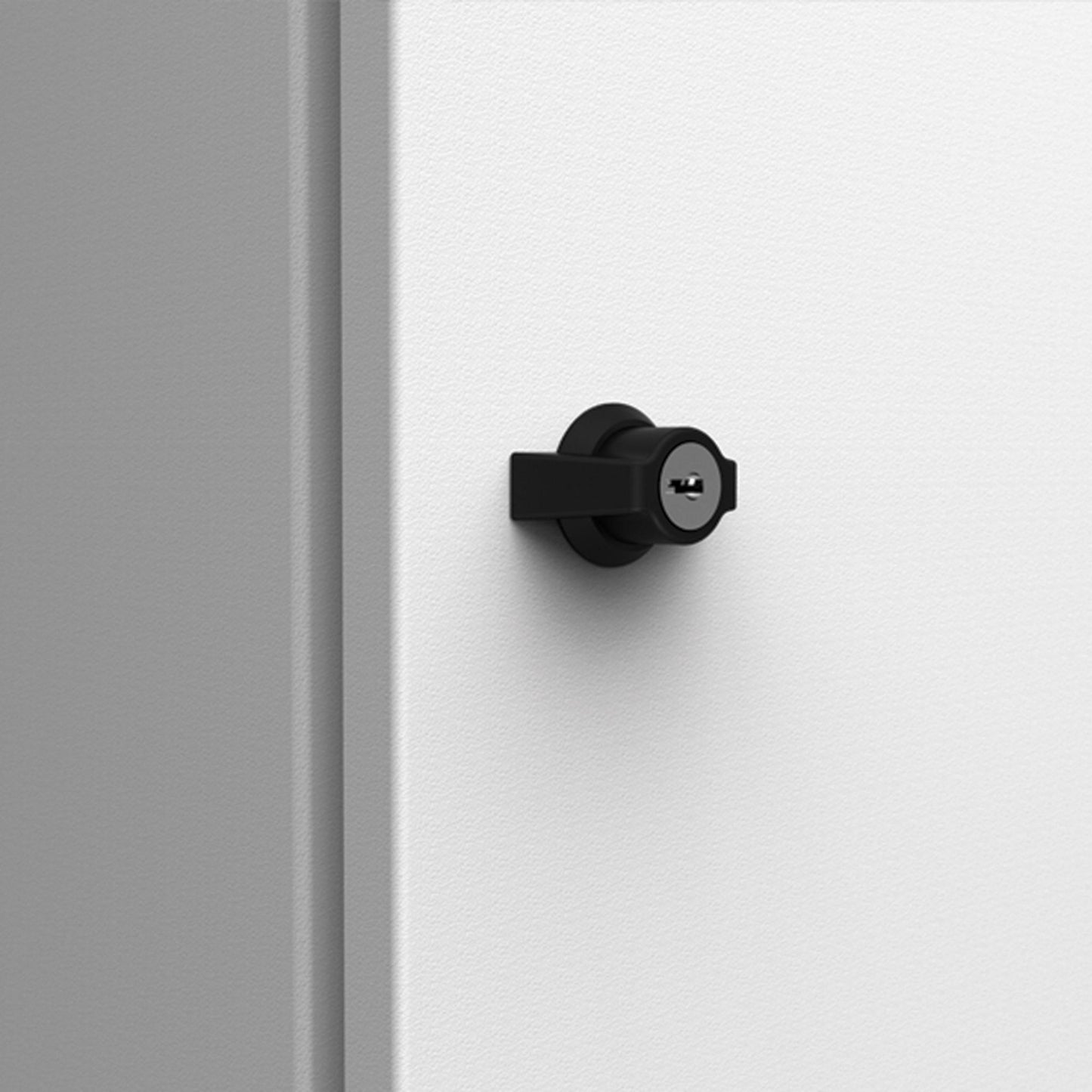 ALT561