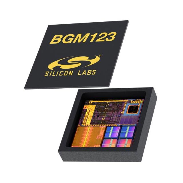 BGM123N256V2R