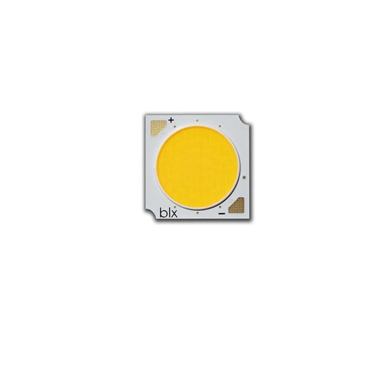 BXRE-50G20F0-C-83