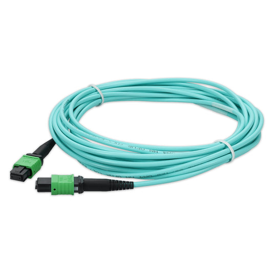 C-AMPOAMPO-7M5OM4LZ