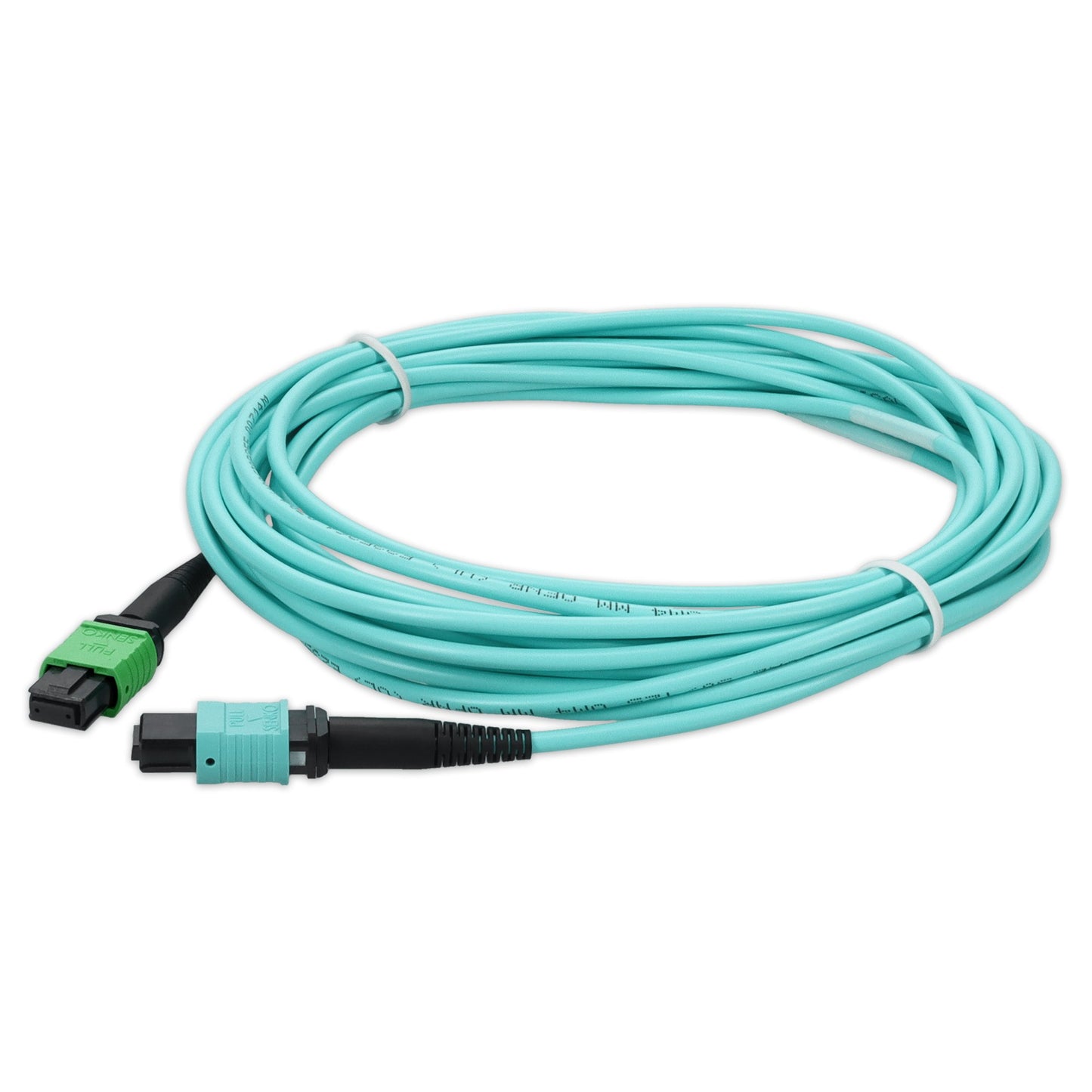 C-AMPOMPO-3M5OM4LZ