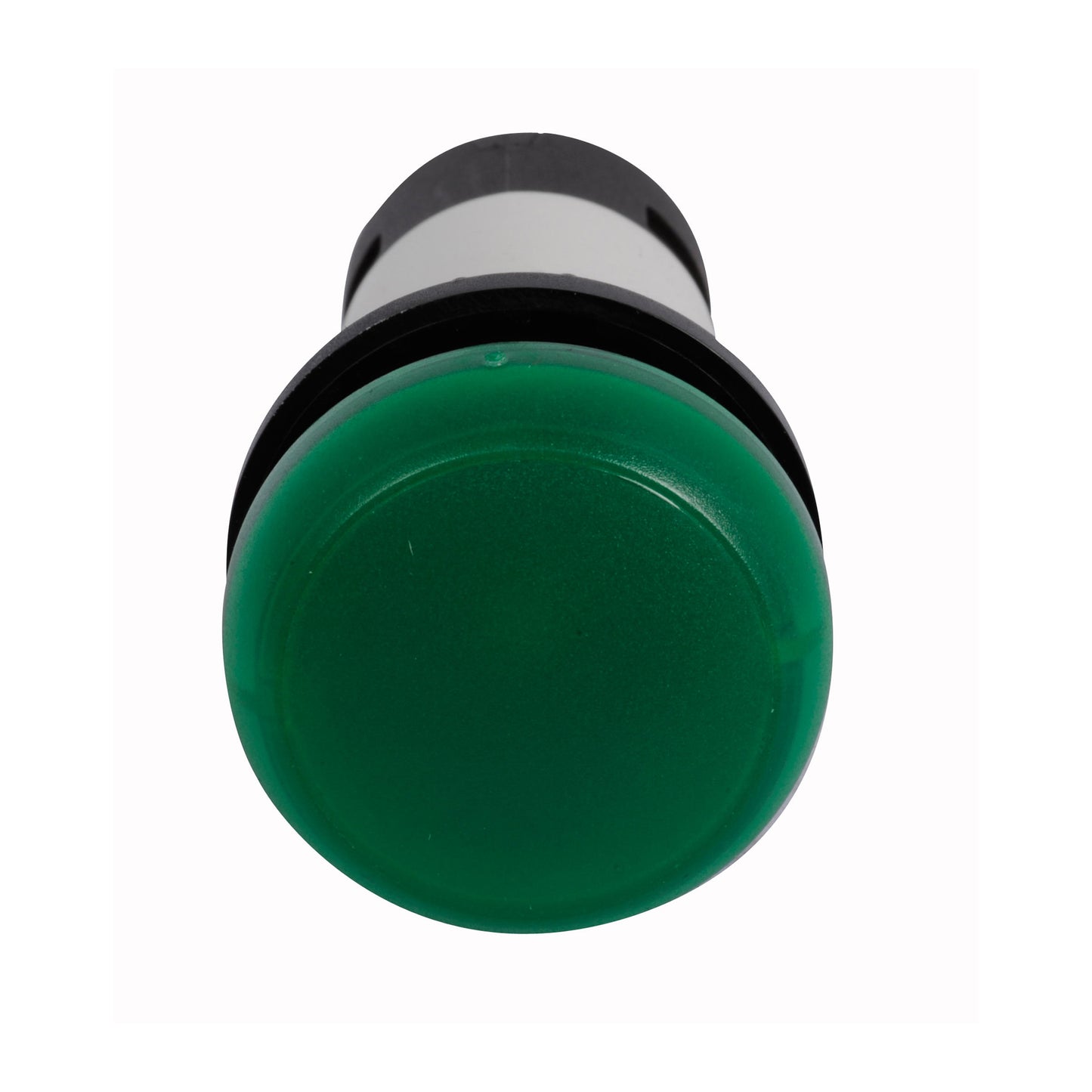 C22-L-G-24