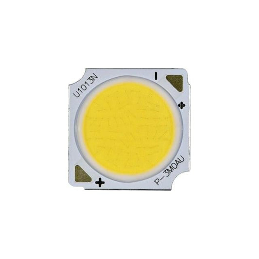 CMU1013-R160-00PN0U0A30H