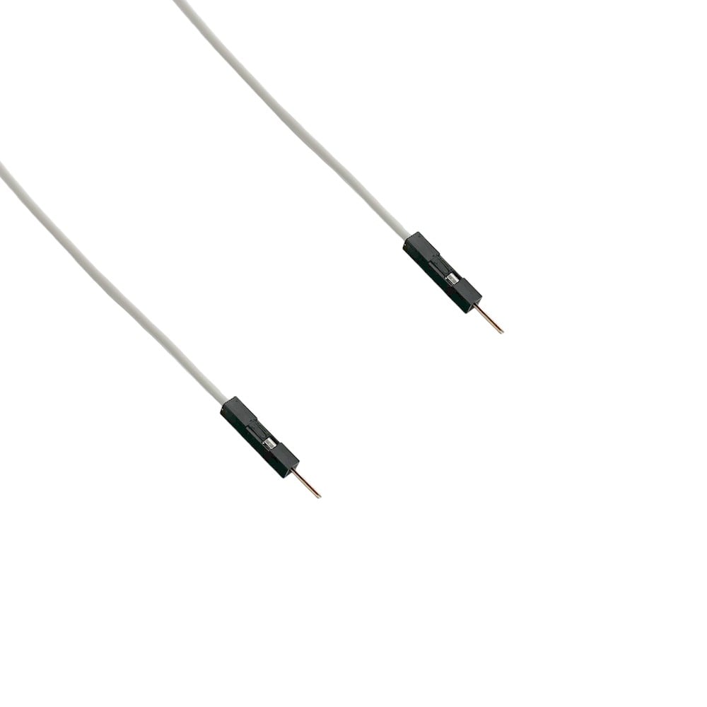CPP100W