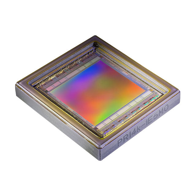 CSG14K-1E5M1LA FT SE