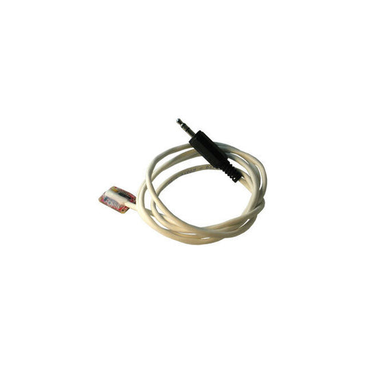 EEG-AE