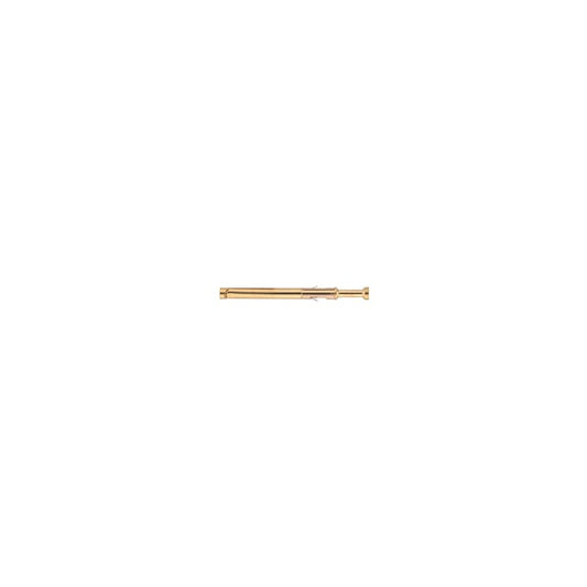 EGG.2B.661.ZZM
