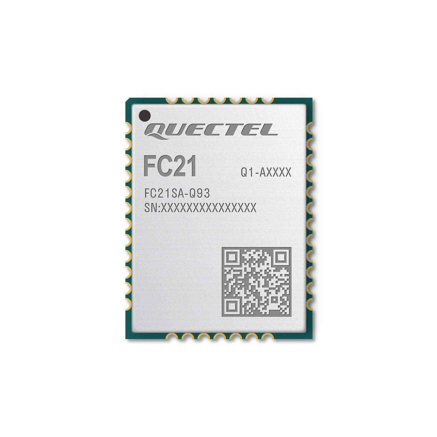 FC2131-0000-0002-L