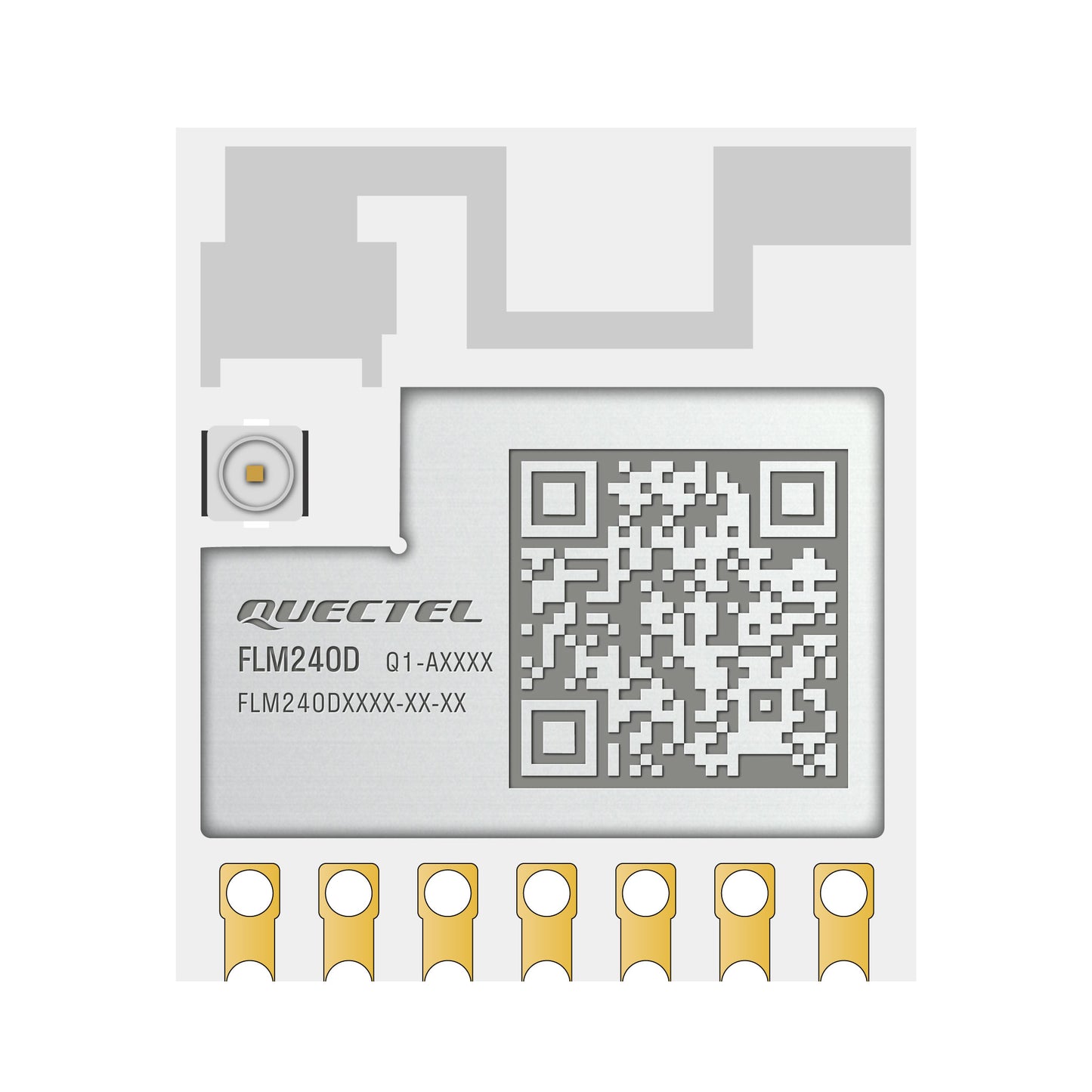 FLM240DAAMD-0P-02