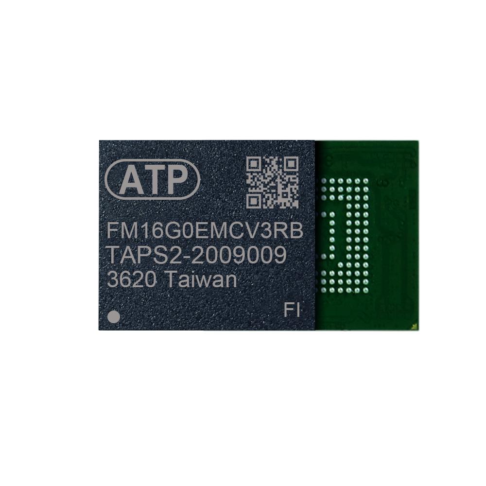FM16G0EMCV3RBFI